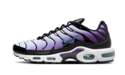 Nike Air Max Plus Reverse Grape, Disco Purple/Black-Teal Nebula-Space Purple-White-Metallic Silver (FQ2415-500)