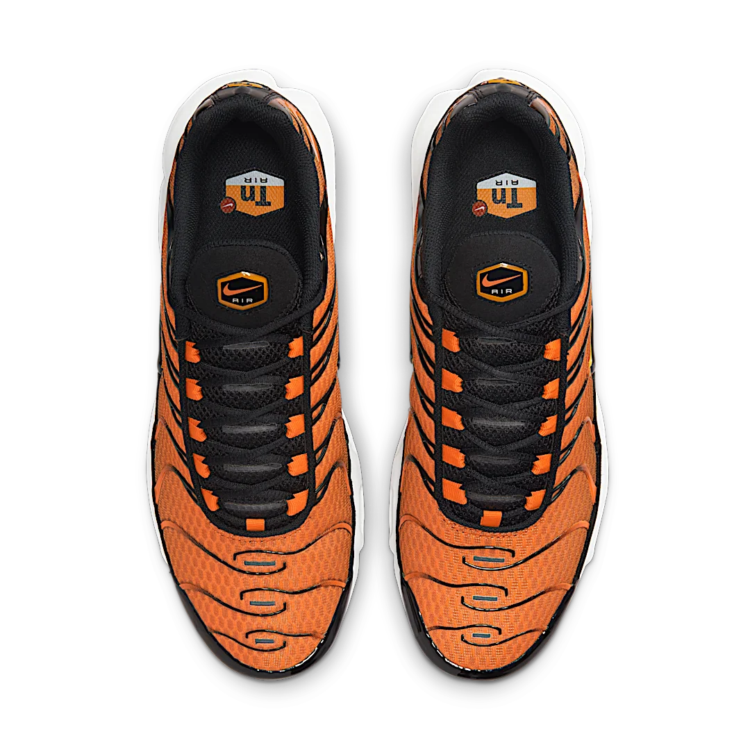 Nike Air Max Plus Safety Orange Black, Safety Orange/Black/White/University Gold (DM0032-800)