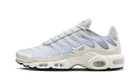 Nike Air Max Plus Sail Pure Platinum Silver, Pure Platinum/Sail/Wolf Grey/Metallic Silver (FN7813-001)