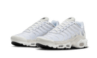 Nike Air Max Plus Sail Pure Platinum Silver, Pure Platinum/Sail/Wolf Grey/Metallic Silver (FN7813-001)