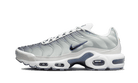 Nike Air Max Plus Smoke Grey Ashen Slate, Summit White/Smoke Grey/Ashen Slate/Black (FQ2892-100)