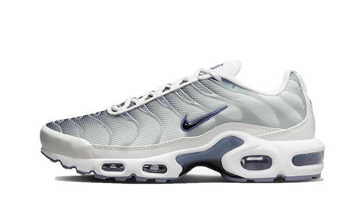 Nike Air Max Plus Smoke Grey Ashen Slate, Summit White/Smoke Grey/Ashen Slate/Black (FQ2892-100)