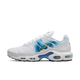 Nike Air Max Plus Spray Paint Swoosh White Blue