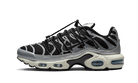 Nike Air Max Plus Toggle Black Silver, Black/Cobalt Bliss/Light Orewood Brown/Metallic Silver (FD0799-001)