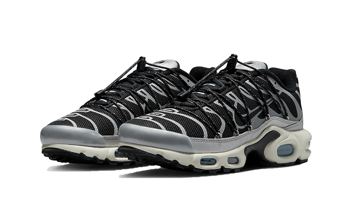 Nike Air Max Plus Toggle Black Silver, Black/Cobalt Bliss/Light Orewood Brown/Metallic Silver (FD0799-001)