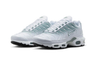 Nike Air Max Plus White Mica Green, White/White-Mica Green-Black (DZ3670-100)