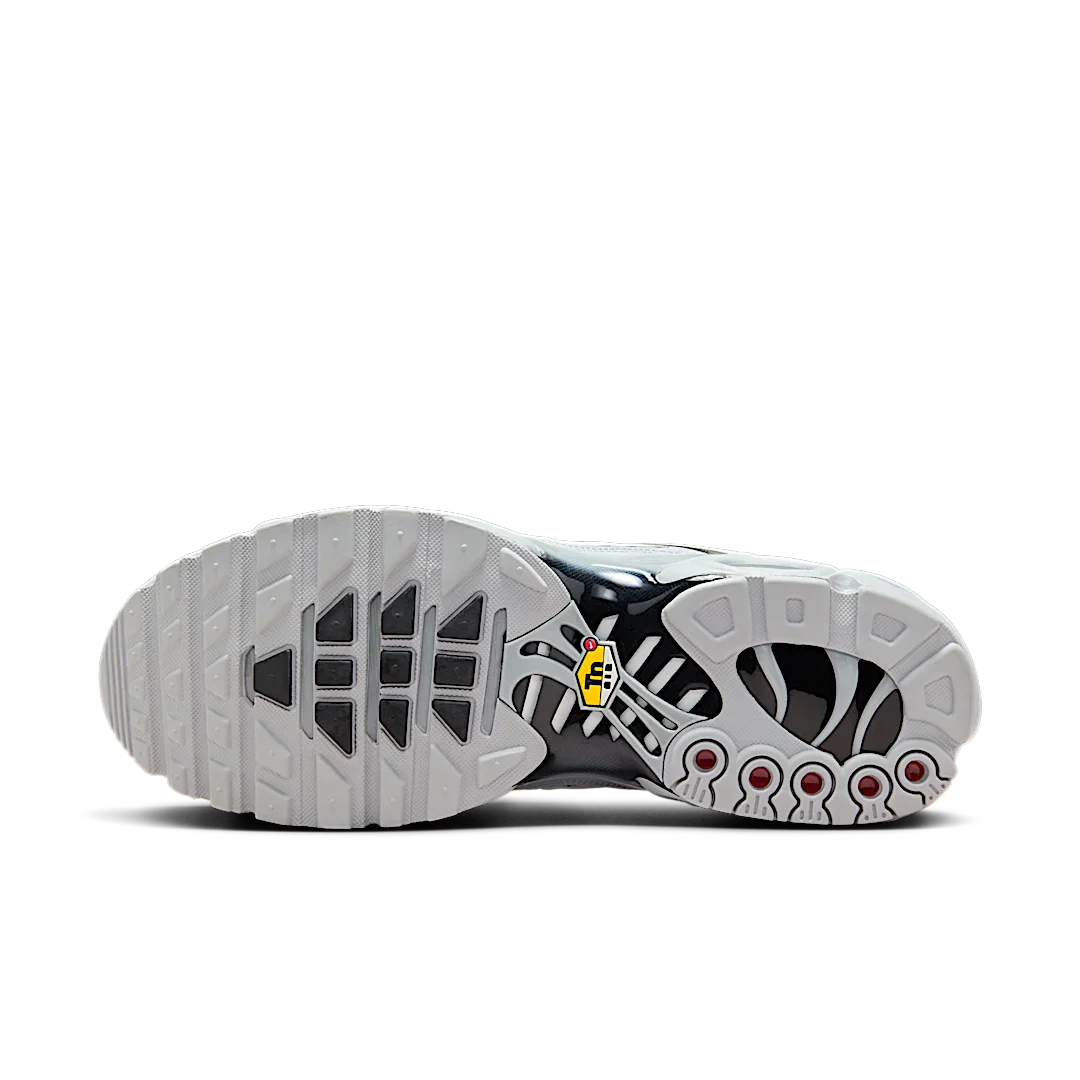 Nike Air Max Plus Wolf Grey, Wolf Grey/Black-White (852630-021)