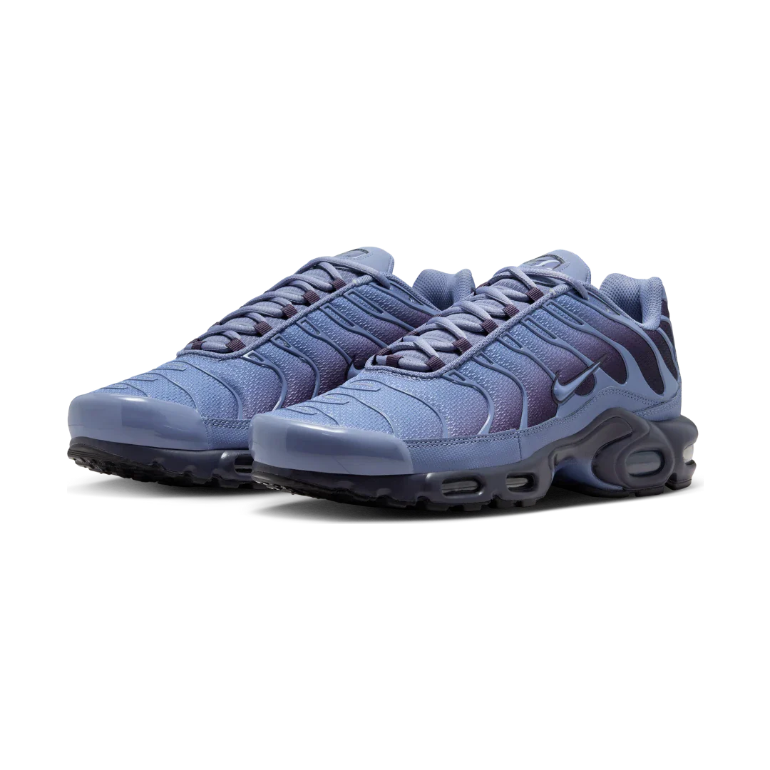 Nike Air Max Plus World Indigo, World Indigo/Cave Purple/Black/World Indigo (DM0032-404)