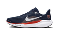 Nike Air Zoom Pegasus 41 Chicago Bears (2025)