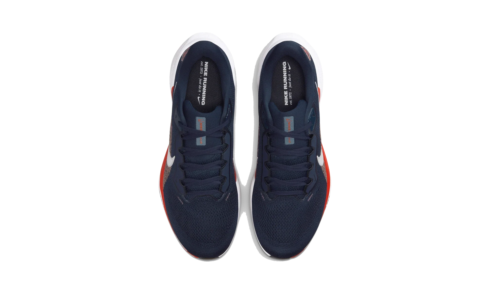 Nike Air Zoom Pegasus 41 Chicago Bears (2025)