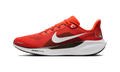 Nike Air Zoom Pegasus 41 Cleveland Browns (2025)