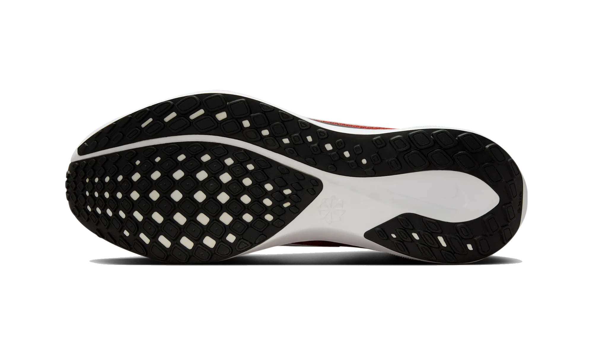 Nike Air Zoom Pegasus 41 Cleveland Browns (2025)