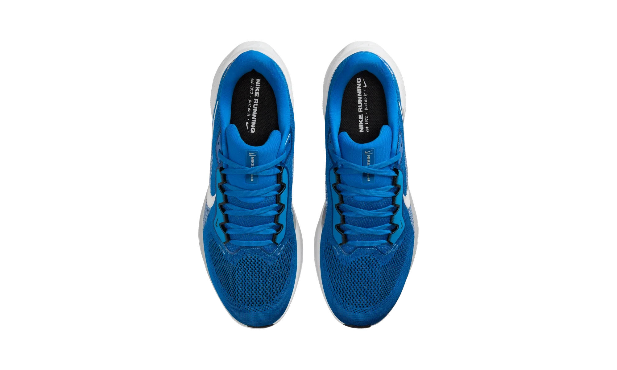 Nike Air Zoom Pegasus 41 Detroit Lions (2025)