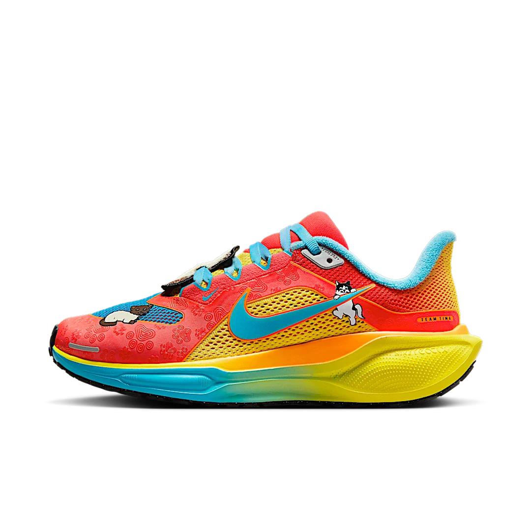 Nike Air Zoom Pegasus 41 Doernbecher Tima, Multi-Color/Multi-Color/Multi-Color (IB6096-920)