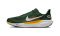 Nike Air Zoom Pegasus 41 Green Bay Packers (2025)