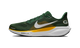 Nike Air Zoom Pegasus 41 Green Bay Packers (2025)