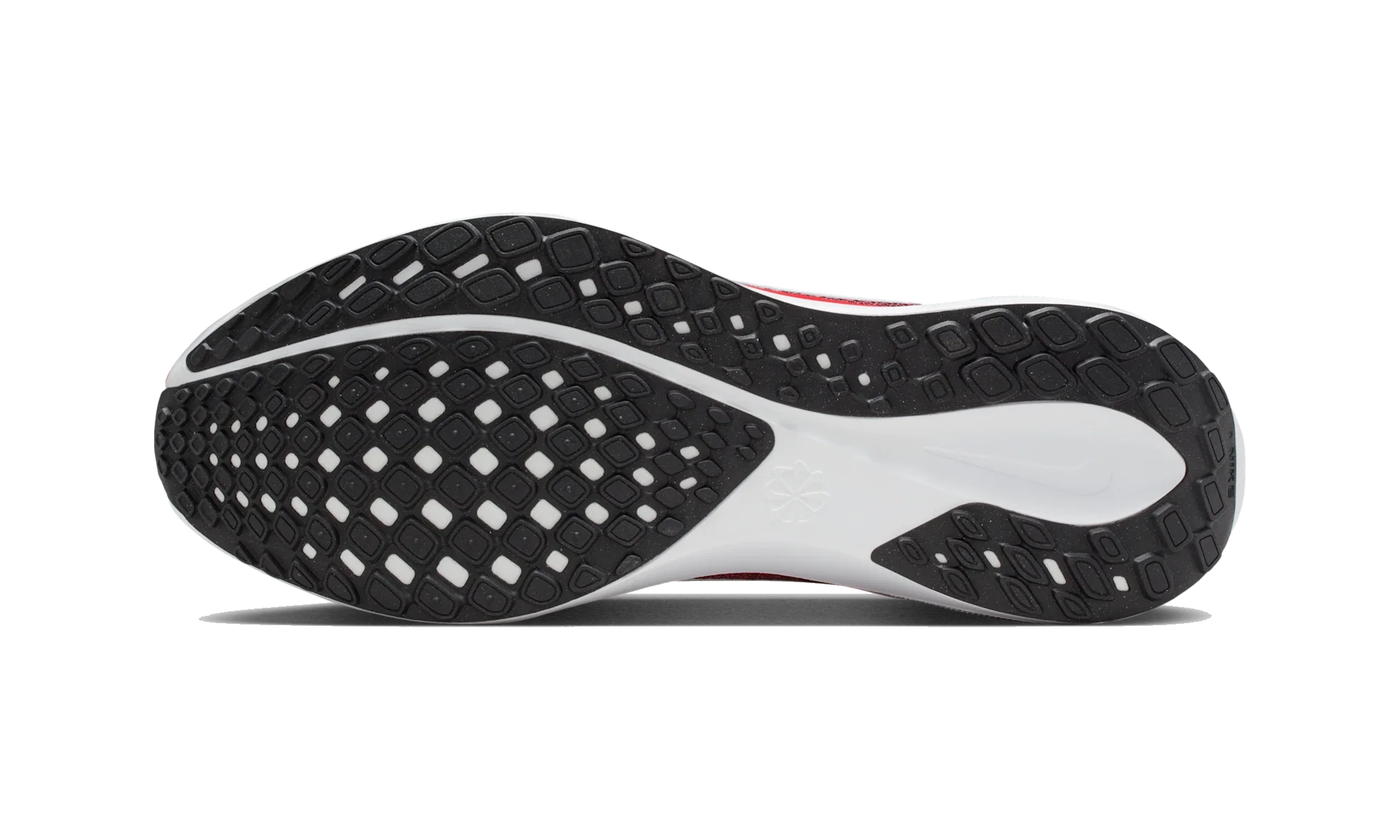 Nike Air Zoom Pegasus 41 New England Patriots (2025)