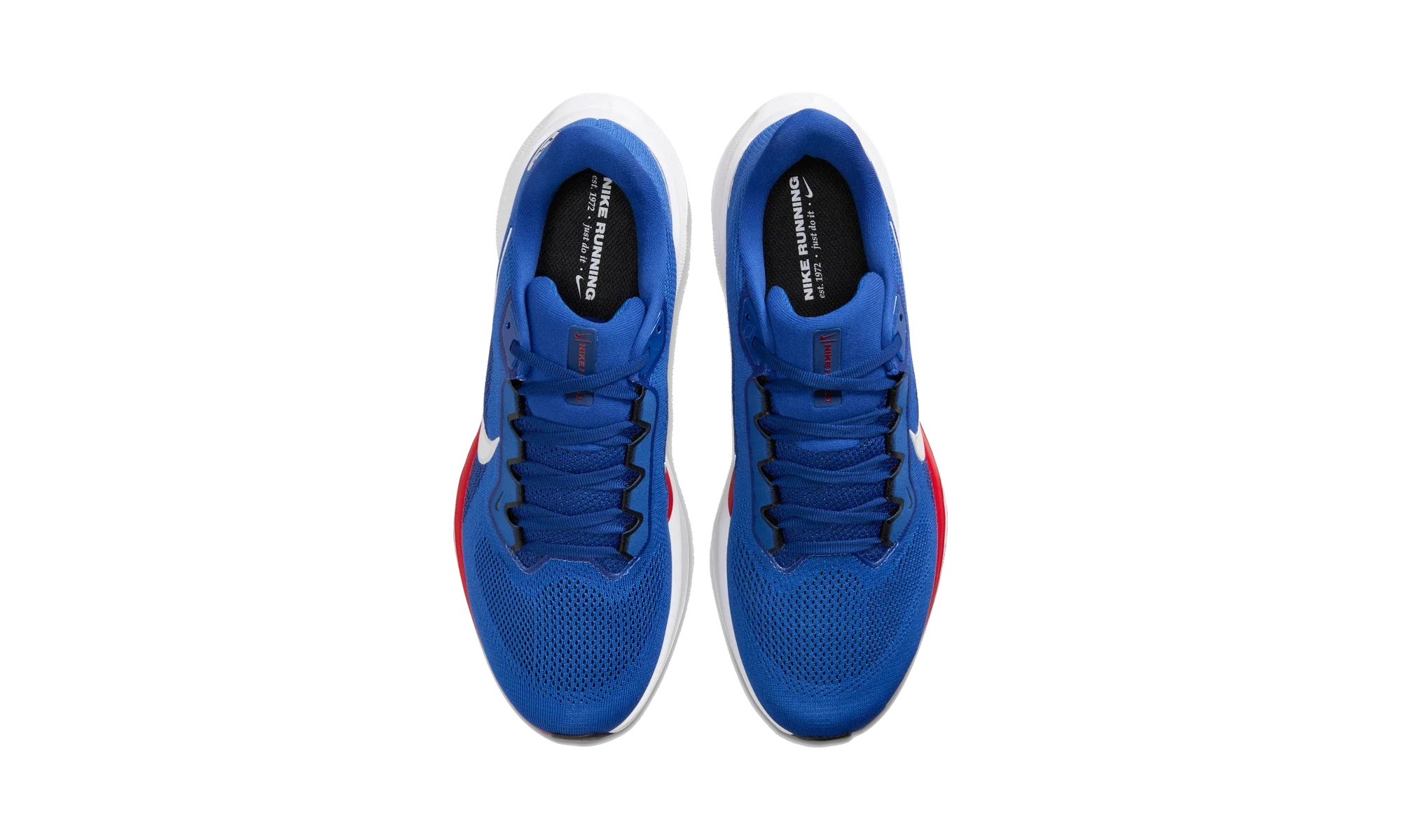 Nike Air Zoom Pegasus 41 New York Giants (2025)