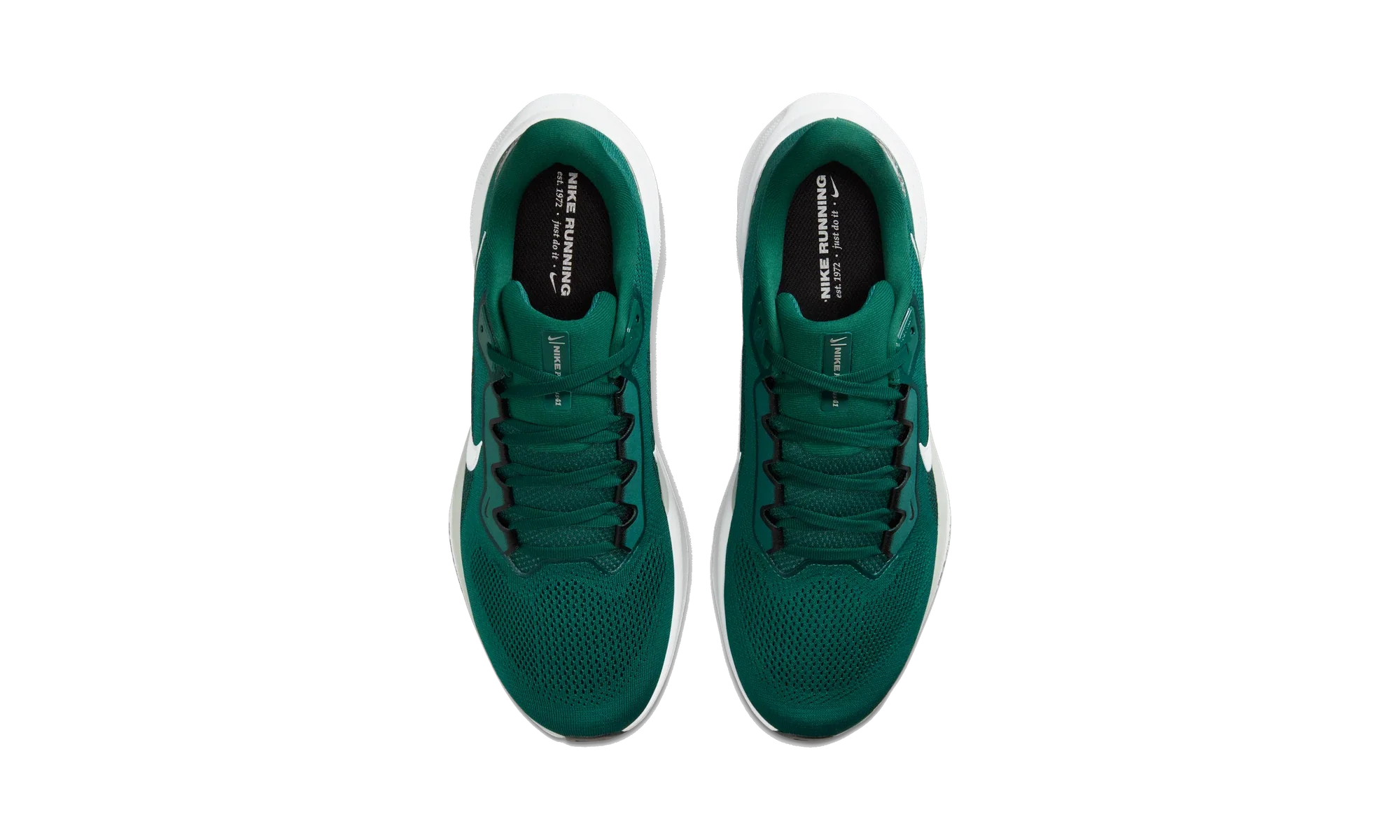 Nike Air Zoom Pegasus 41 Philadelphia Eagles (2025)