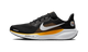 Nike Air Zoom Pegasus 41 Pittsburgh Steelers (2025)