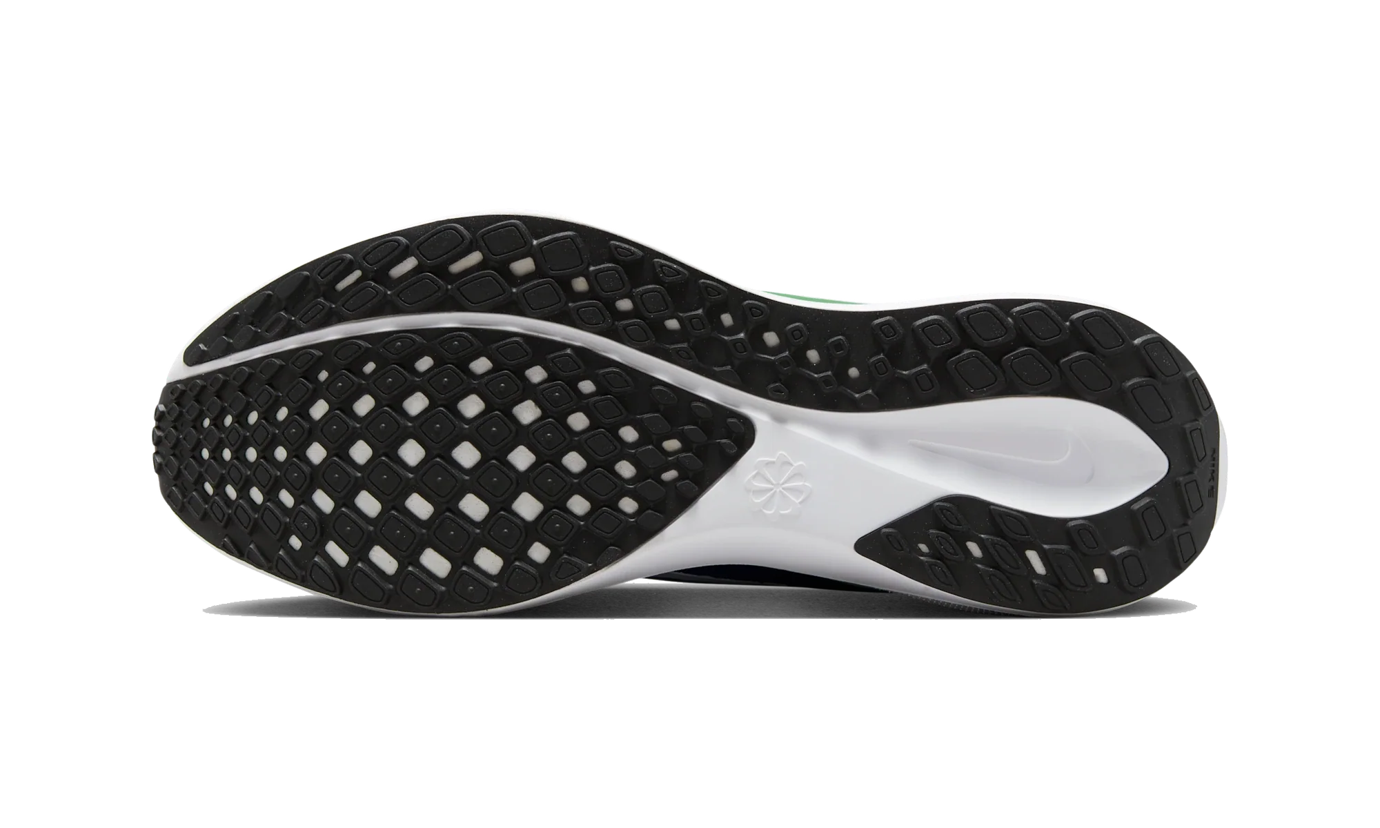 Nike Air Zoom Pegasus 41 Seattle Seahawks (2025)