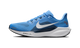 Nike Air Zoom Pegasus 41 Tennessee Titans (2025)