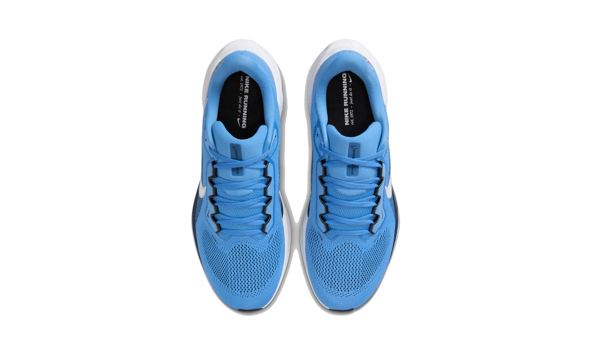 Nike Air Zoom Pegasus 41 Tennessee Titans (2025)