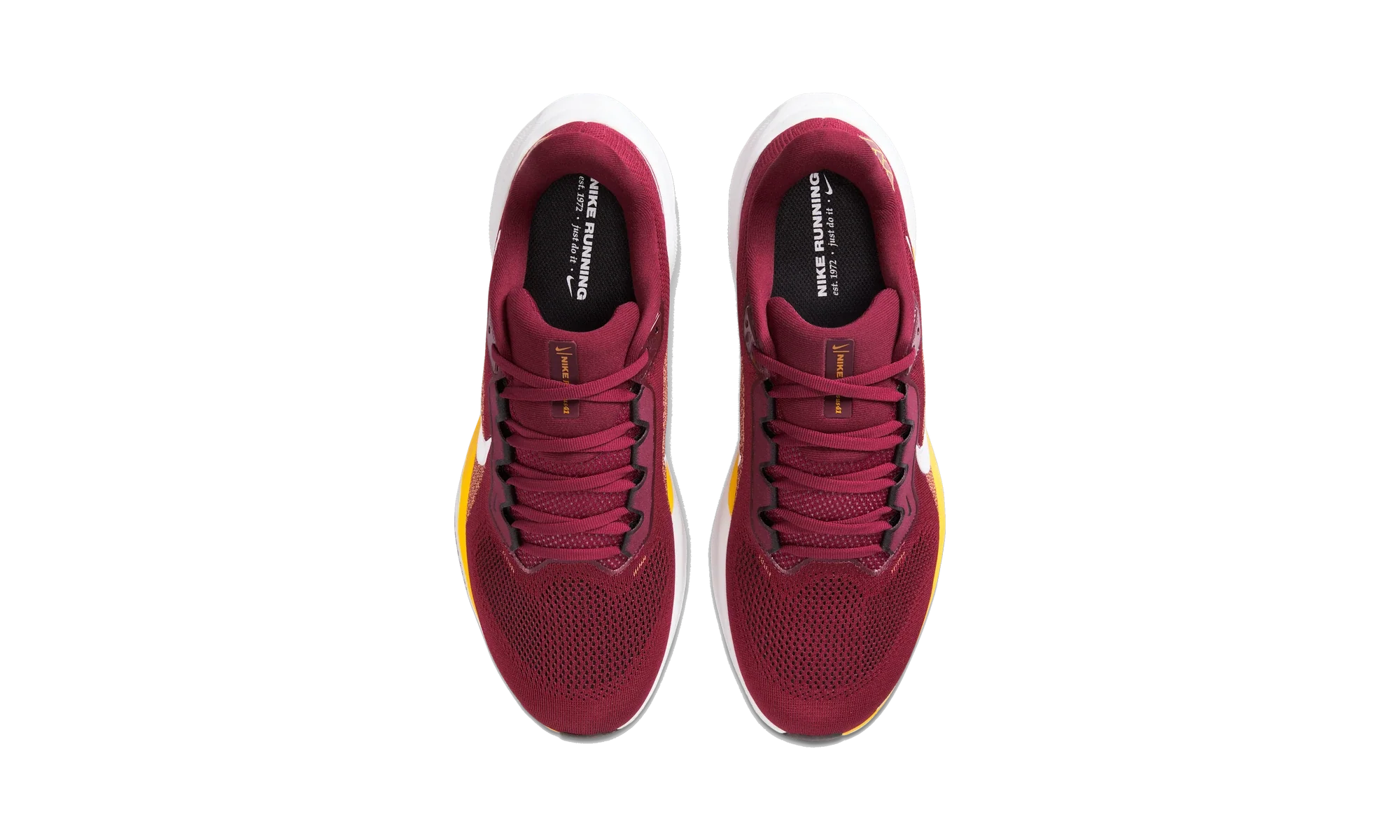Nike Air Zoom Pegasus 41 Washington Commanders (2025)