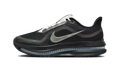 Nike Air Zoom Pegasus Premium SP Black Metallic Silver