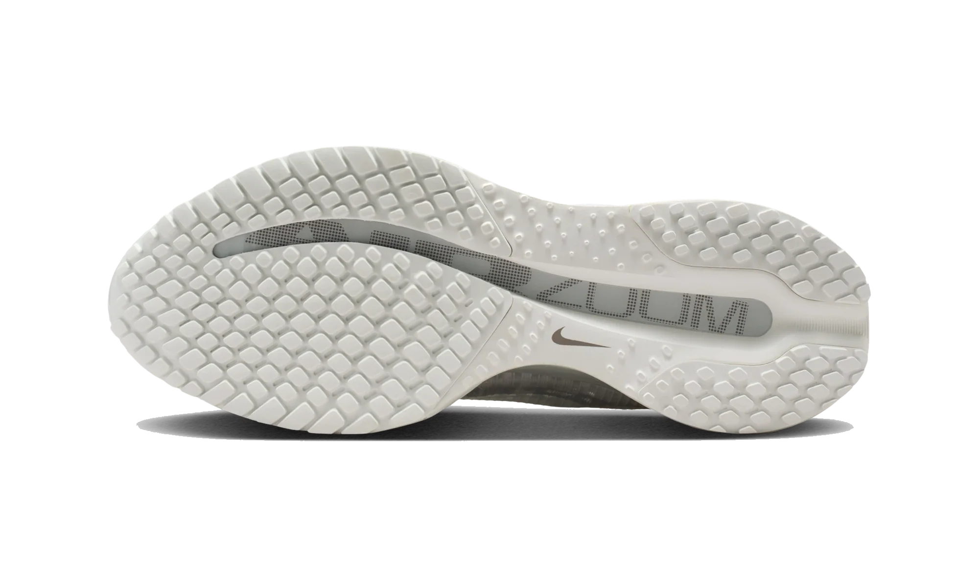 Nike Air Zoom Pegasus Premium Summit White Iridescent