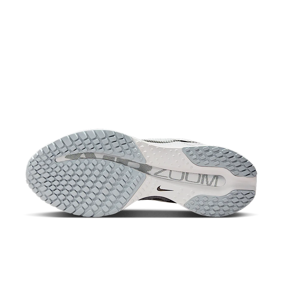 Nike Air Zoom Pegasus Premium Vast Grey, Vast Grey/Metallic Silver/Wolf Grey/Black (HQ2593-005)