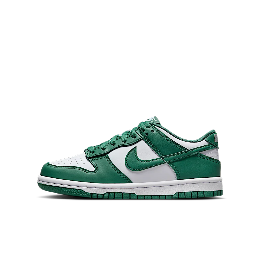 Nike Dunk Low Bicoastal, White/Bicoastal (HF4798-100)