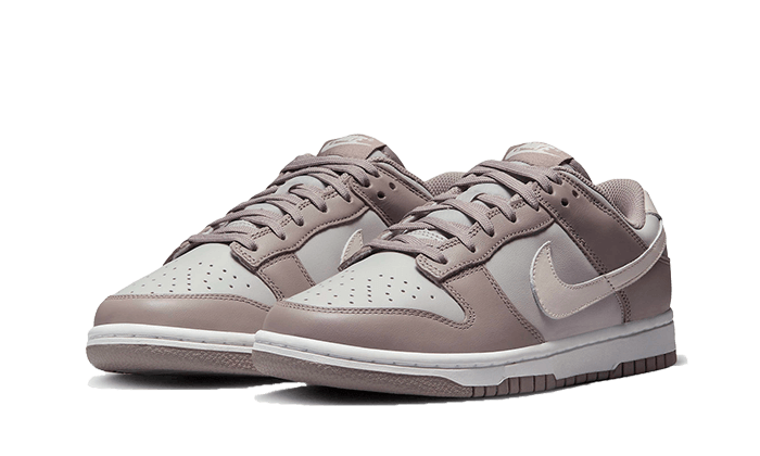 Nike Dunk Low Bone Beige, Moon Fossil/Light Orewood Brown-Light Iron Ore-Summit White (FD0792-001)