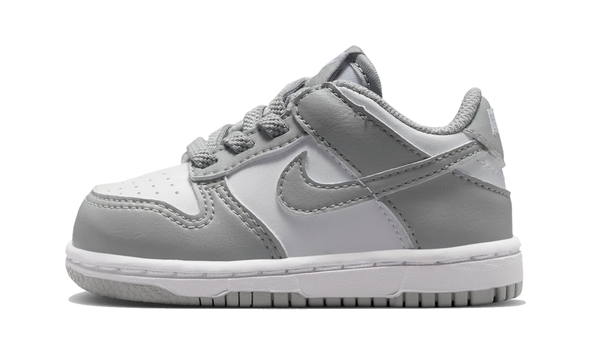 Nike Dunk Low Light Smoke Grey White (TD)