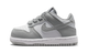 Nike Dunk Low Light Smoke Grey White (TD)