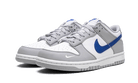 Nike Dunk Low Mini Swoosh Wolf Grey Game Royal, Wolf Grey/Game Royal-White (FN3878-001)