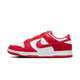 Nike Dunk Low Next Nature St. John's