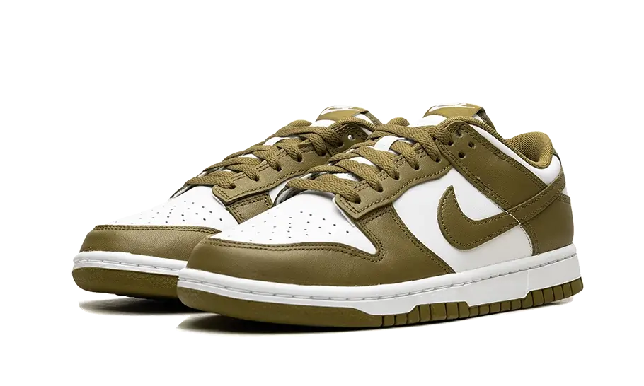 Nike Dunk Low Retro Pacific Moss, White/Pacific Moss (DV0833-105)