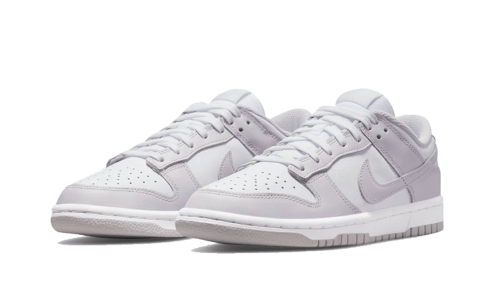 Nike Dunk Low Venice, White/Venice (DD1503-116)