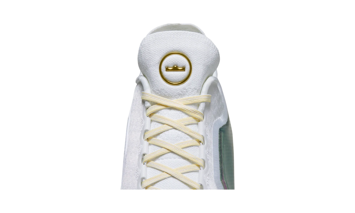 Nike LeBron 23 Elite For The Record
