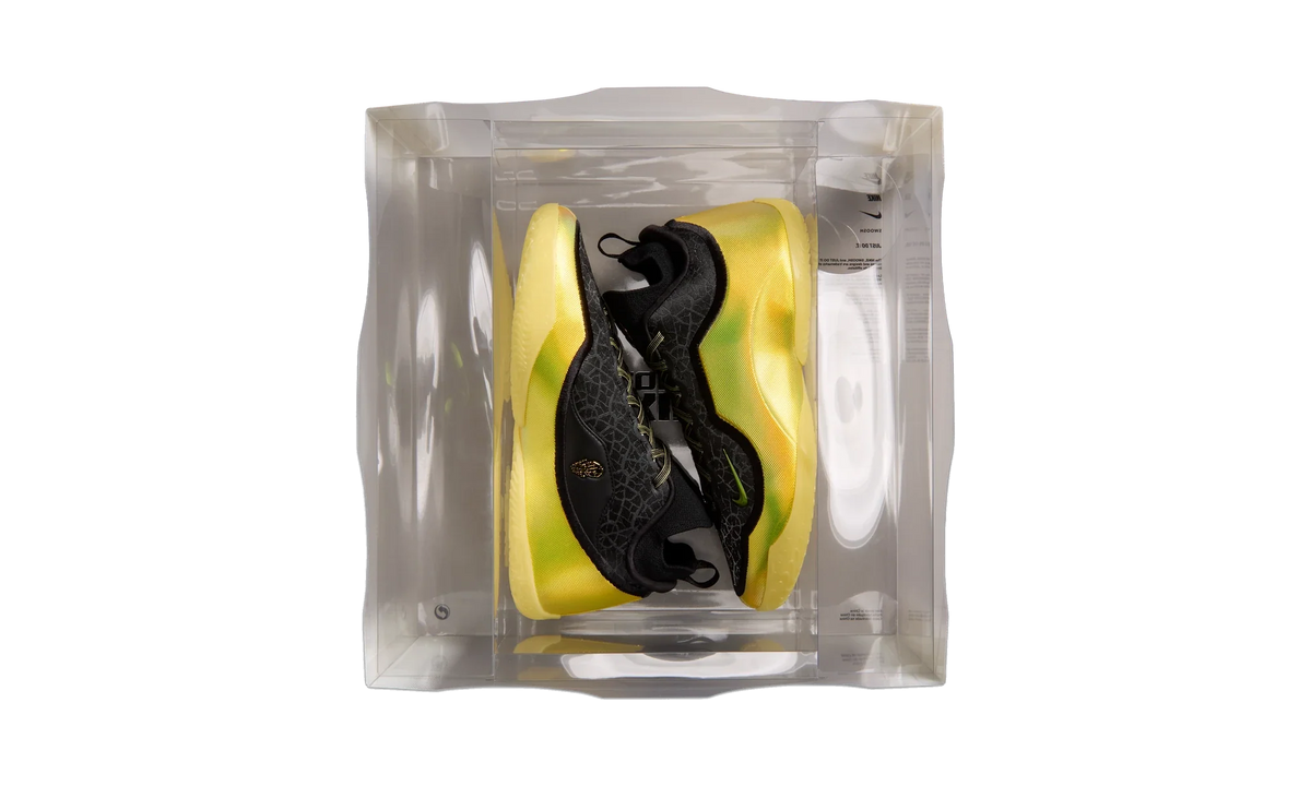 Nike LeBron 23 Elite Hurt Feelings Write History