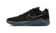 Nike LeBron Witness 9 Black Dark Smoke Grey (Translucent Outsole)