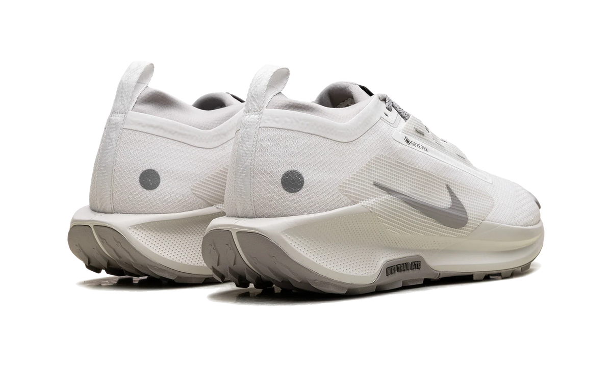 Nike React Pegasus Trail 5 Gore-Tex SP Summit White College Grey Bone