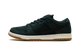 Nike SB Dunk Low Pro Deep Fir