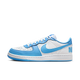 Nike Terminator Low University Blue