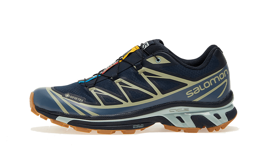 Salomon Advanced XT-6 Gore-Tex Carbon Bering Sea, Carbon/Bering Sea/Desert (L47291800)