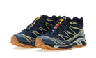 Salomon Advanced XT-6 Gore-Tex Carbon Bering Sea, Carbon/Bering Sea/Desert (L47291800)