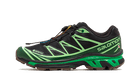 Salomon Advanced XT-6 Gore-Tex Eden Green Ash, Black/Eden/Green Ash (L47292100)