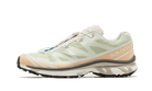 Salomon XT-6 Aloe Wash Feather Grey, Aloe Wash/Hazelnut/Feather Grey (L47293700)