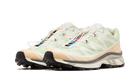 Salomon XT-6 Aloe Wash Feather Grey, Aloe Wash/Hazelnut/Feather Grey (L47293700)